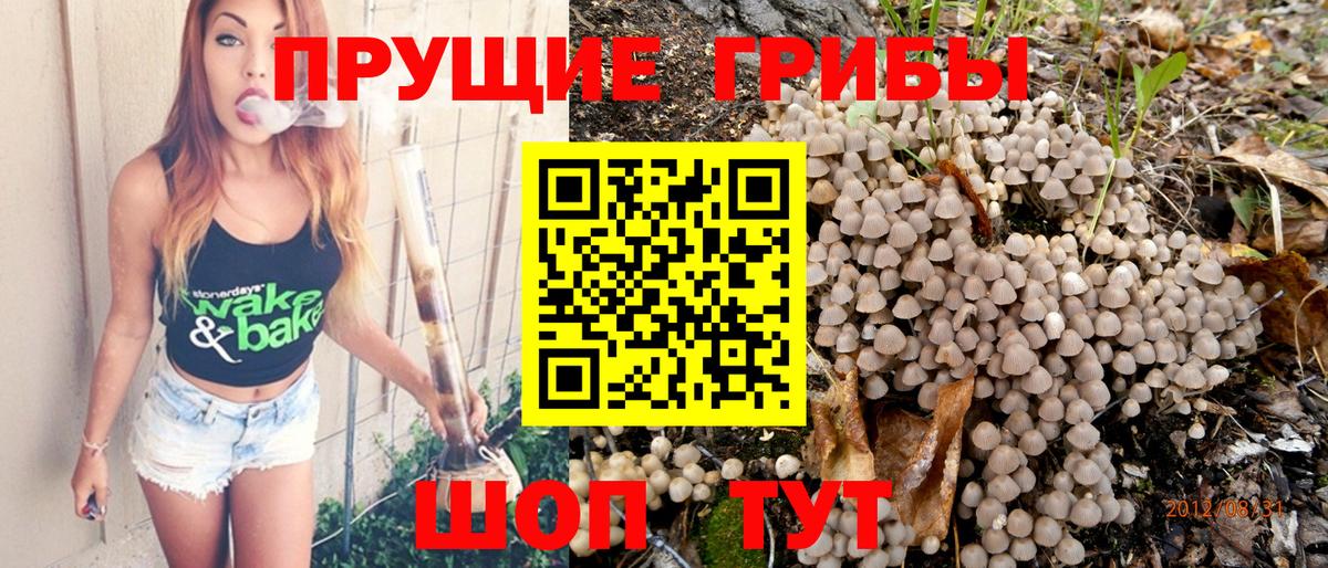 Псилоцибиновые грибы ЛСД  Псилоцибиновые грибы Psilocybine cubensis  Пугачёв  Вход с VPN 