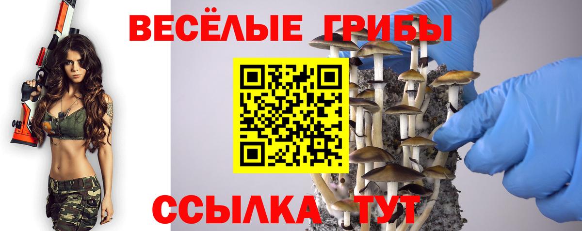 Галлюциногенные грибы Magic Shrooms Пугачёв
